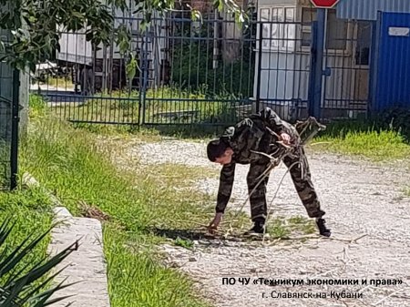 Мы за чистоту!