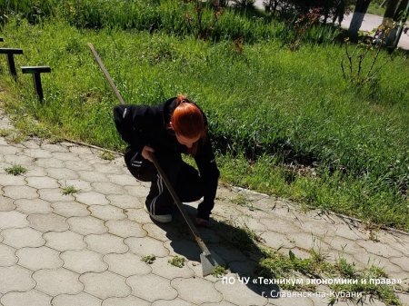 Мы за чистоту!