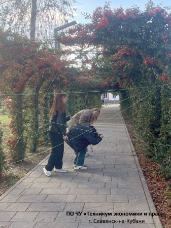 Квест-игра «Едино государство, когда един народ»